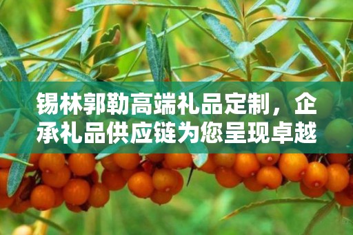 锡林郭勒高端礼品定制，企承礼品供应链为您呈现卓越之选