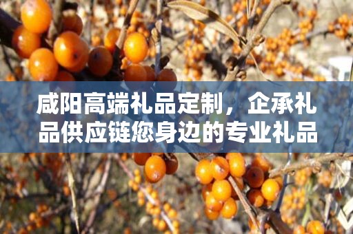 咸阳高端礼品定制，企承礼品供应链您身边的专业礼品定制公司