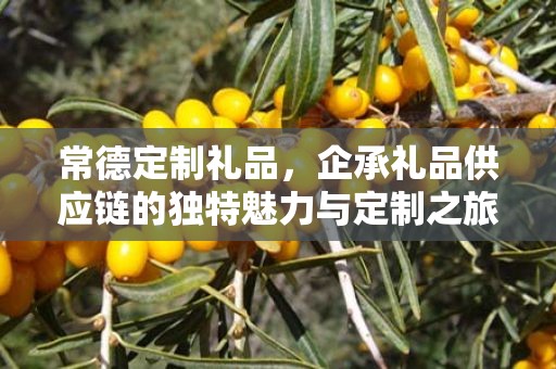 常德定制礼品，企承礼品供应链的独特魅力与定制之旅