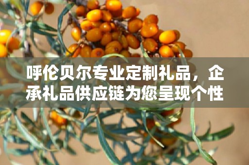 呼伦贝尔专业定制礼品，企承礼品供应链为您呈现个性化定制之选