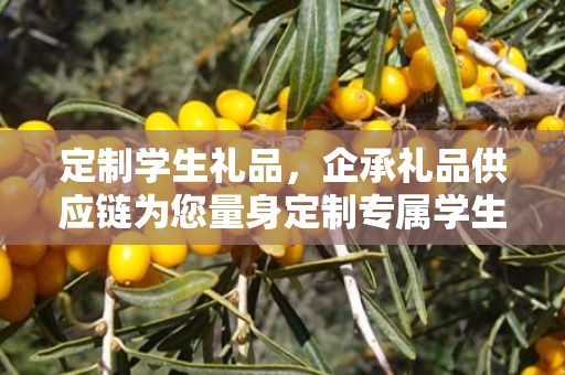 定制学生礼品，企承礼品供应链为您量身定制专属学生礼物