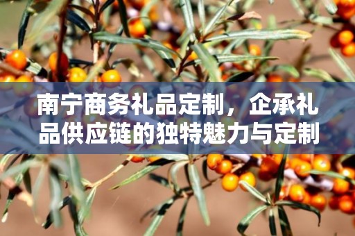 南宁商务礼品定制，企承礼品供应链的独特魅力与定制之旅